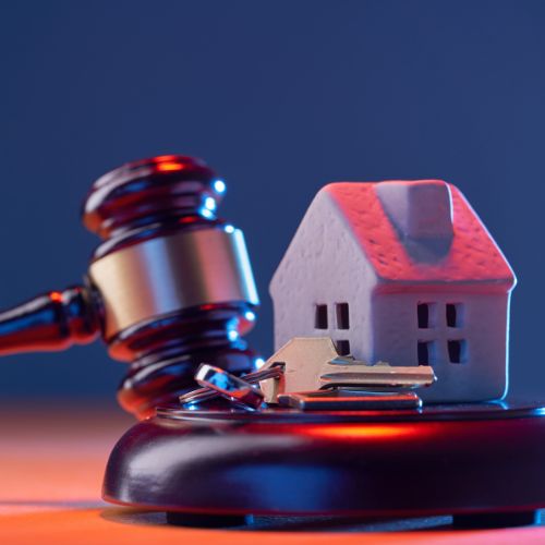 اكبر منصة مزادات الامارات من بناء المهندس البرمجيات الاول عمار باريش